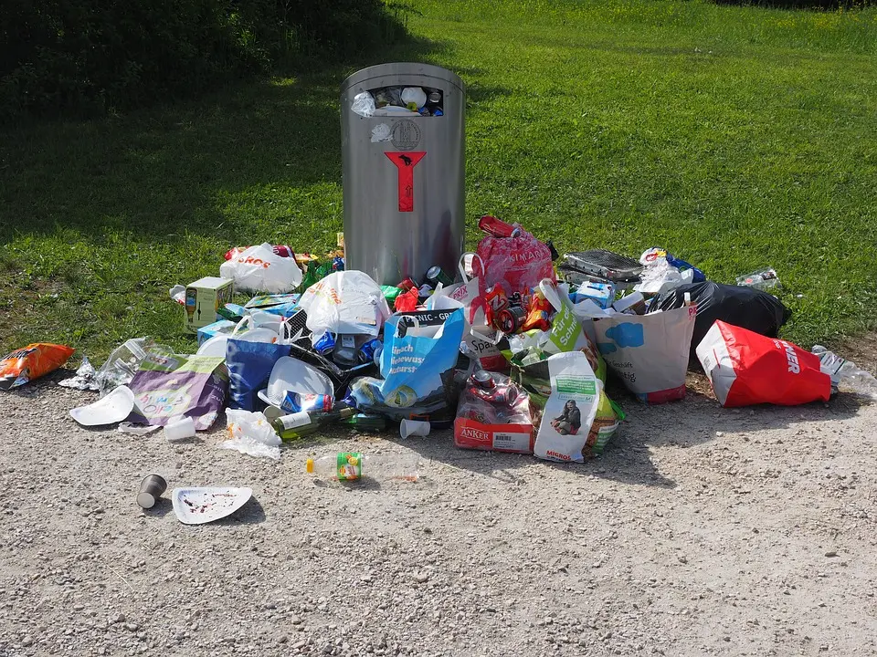 Trash-Pickup--in-Albuquerque-New-Mexico-Trash-Pickup-3997380-image